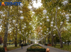 Улицу Ленина в Волгодонске Фонд Галицкого благоустроит по принципу Красной в столице Кубани