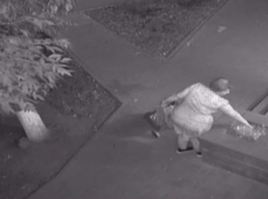 Воровство с особым цинизмом под покровом ночи совершила волгодончанка в центре города