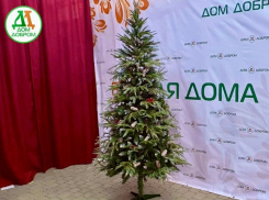 Товар дня: ель искусственная «Крымская»  за  9 950₽ вместо 11 940₽