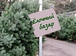 Начало работы елочных базаров в Волгодонске перенесли на пять дней