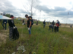 В уборке береговой зоны Цимлянского водохранилища были привлечены студенты и волонтеры