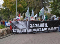 В Волгодонске готовят митинг в поддержку ужесточения закона о жестоком обращении с животными