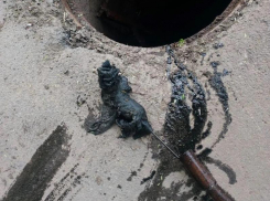 Засоры в лидерах, как прежде: бригады Водоканала 140 раз выезжали на аварийные вызовы