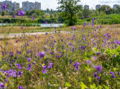 Сегодняшний день обещает быть жарким