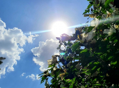 20 июля может стать самым жарким днем за всю историю Волгодонска 