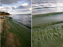 Видео с запахом: во что превратилось Цимлянское водохранилище