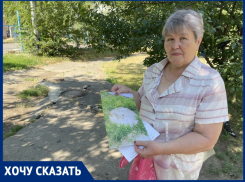 «Голодные крысы атакуют детскую площадку и голубей!»: жители Черникова, 19 напуганы грызунами