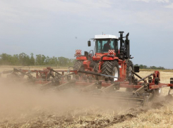 В Константиновском районе введен режим ЧС из-за почвенной засухи