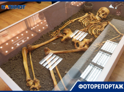 Древние захоронения, мечи скифов и предметы из затопленного Саркела: замгубернатора Игорь Гуськов открыл новую выставку в Волгодонске
