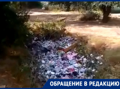 «Такого я еще не видел»: отдыхающие волгодонцы превратили 15-ый котлован в свалку