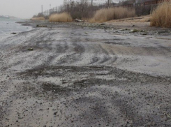 Более 45 судов скопились от Волгодонска до Ростова из-за снижения воды в реке Дон 