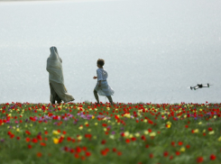 Часть сцен нового исторического сериала «Князь Андрей» сняли на востоке Ростовской области на тюльпанных полях