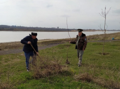 В Волгодонске прошел скромный День древонасаждений без «Поля дураков»