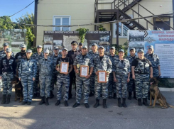 Пёс по кличке Марсель принёс победу волгодонскому полицейскому на конкурсе кинологов