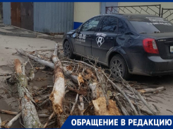 Разбушевавшийся ветер повалил сухие деревья на автомобили на Ленина  
