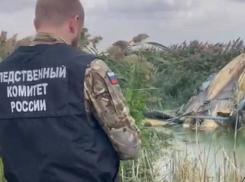 69-летний пилот за штурвалом старого самолета: возбуждено уголовное дело о крушении Ан-2 под Волгодонском