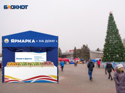 Внешне унифицировать павильоны и атрибутику обяжут фермеров на ярмарках в Волгодонске