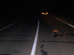 На автодороге Ростов-Волгодонск пенсионер насмерть сбил пьяного мужчину, сидящего на проезжей части