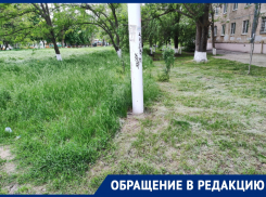 Хаотичный покос травы на улицах Волгодонска удивил местных жителей