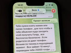 «Открой телефон мамы и бабушки за голду»: 8-летних детей из Волгодонска склоняют к проникновению в телефоны родителей и родственников