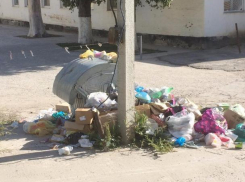 Падальные мухи появились в квартирах волгодонцев из-за гор мусора на улице Горького, - читатель