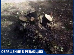 «Мы бились три года, а «Блокнот» решил проблему за 1 день»: жительница В-7