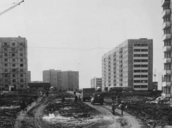 Волгодонск прежде и теперь: парк «Дружба» и море грязи