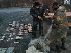 На оросительном канале задержали истребителя сельди, окуня и карася