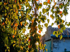 Сегодняшний день в Волгодонске будет холодным