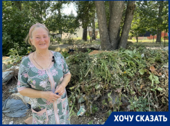 «Тракторист ЖЭКа умер, нового не найдут»: в Донском переулке год некому вывезти кучу травы