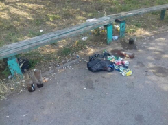 Волгодонцам предлагают навести порядок в сквере «Дружба»