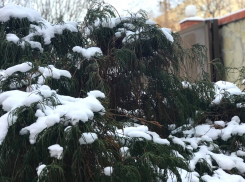 Облачно и морозно: какая погода будет в Волгодонске в четверг