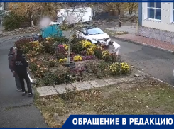 Вандалы уничтожают клумбы на улице Ленина