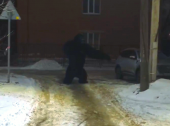 Неожиданный гость на Советской: волгодонцы обсуждают «гориллу» во дворе