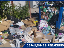 «Мы живем на свалке!»: волгодонцы задыхаются от зловонной кучи мусора на улице Морской