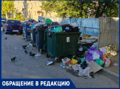 «Очень неприятно видеть этот «срач» у себя под окнами»: с переулка Вокзального несколько дней не вывозится мусор 