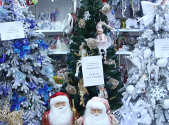 Где найти новогоднее настроение: в Волгодонске есть такое место