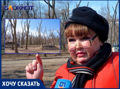 «Парк безжалостно вырубают и засыпают опасным асфальтом»: в парке «Победы» началась странная стройка