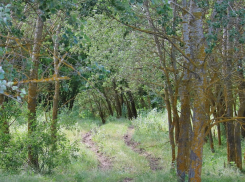 Охранной зоне бобриного царства около Волгодонска исполнилось 17 лет