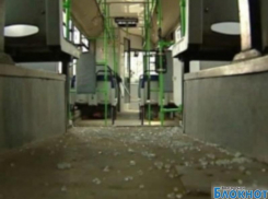 В 100 километрах от Волгодонска пьяный студент расстрелял пассажирский автобус