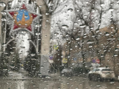 +7 и дождь: весенняя погода пришла в Волгодонск за 5 дней до Нового года