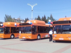 На дороги Волгодонска выпустили десять автобусов и троллейбусов с бесплатным вай-фаем