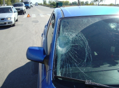 В Волгодонске почти в два раза выросло количество ДТП с участием пешеходов