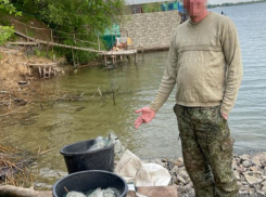 За вылов одного малька этой рыбы из Цимлы грозит штраф в 826 тысяч рублей