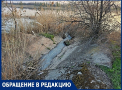 Слив канализации в Мокро-Соленовский залив обнаружил волгодонец