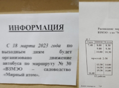 Полноценное движение дачных автобусов в Волгодонске стартует в День дурака