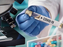 9 заболевших коронавирусом за сутки выявили в Волгодонске