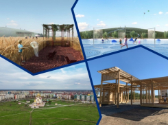 «Веселые сомы, пруды и пшеничные поля»: что ждет волгодонцев в парке «Молодежный»