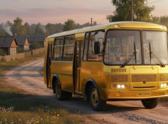 Конские цены и курьезный график: волгодонцы в шоке от дорогущего автобуса на маршруте Волгодонск – Камышевская 