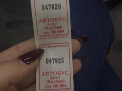 Вместо одного билета за 20 рублей волгодончанке дали два билета по 10 рублей